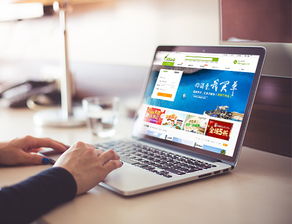 創研科技 專業營銷型網站建設與移動開發服務